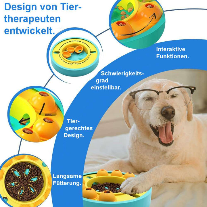 Interaktives Intelligenzspiel für Hunde