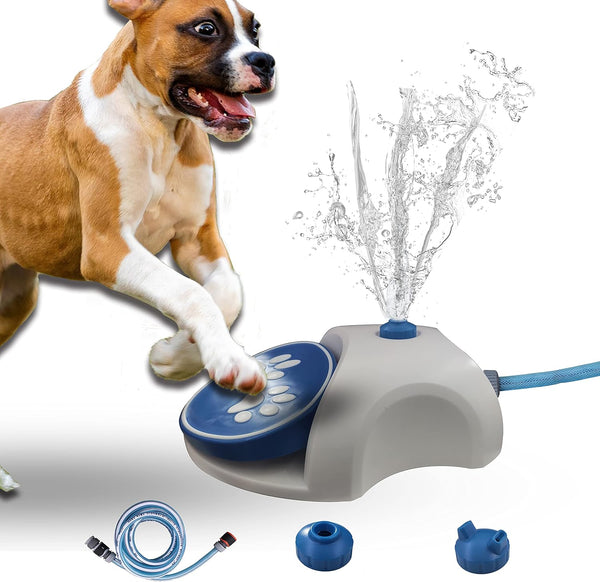 Spiel-Wasserfontäne für Hunde