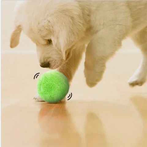 Vollautomatischer aktiver Rollball für Haustiere