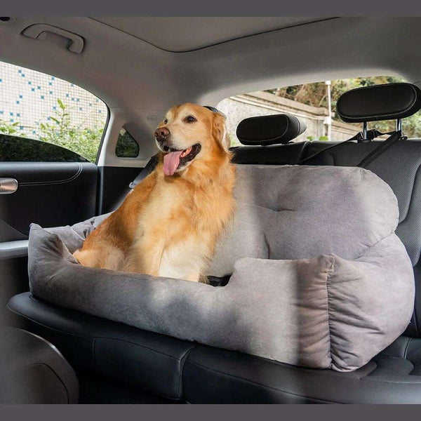 Autosofa für Hunde