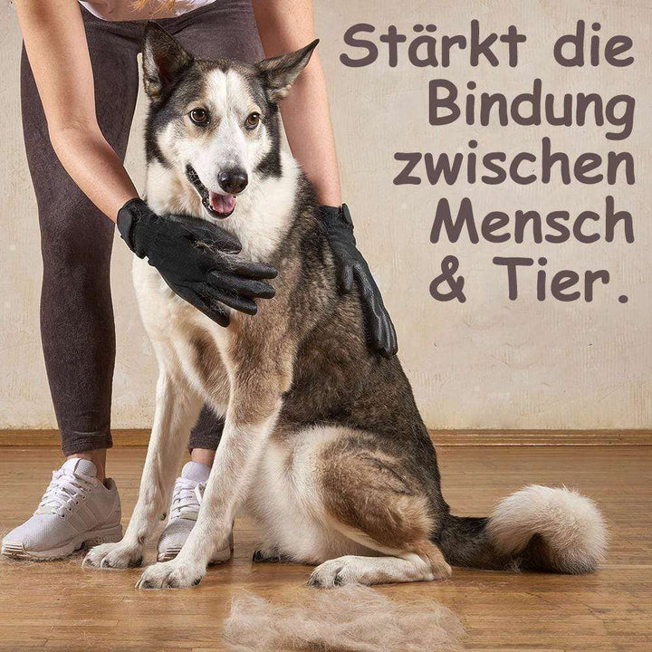 handschuhe für hundeleine CleanPet® Handschuhe (1 Paar) – Happyalo