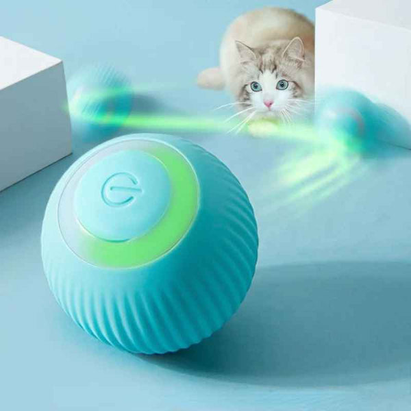 Catchee® - Smarter Spielball für Katzen