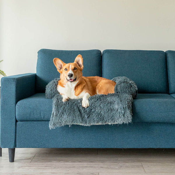Kuscheliger Couchschutz für Haustiere